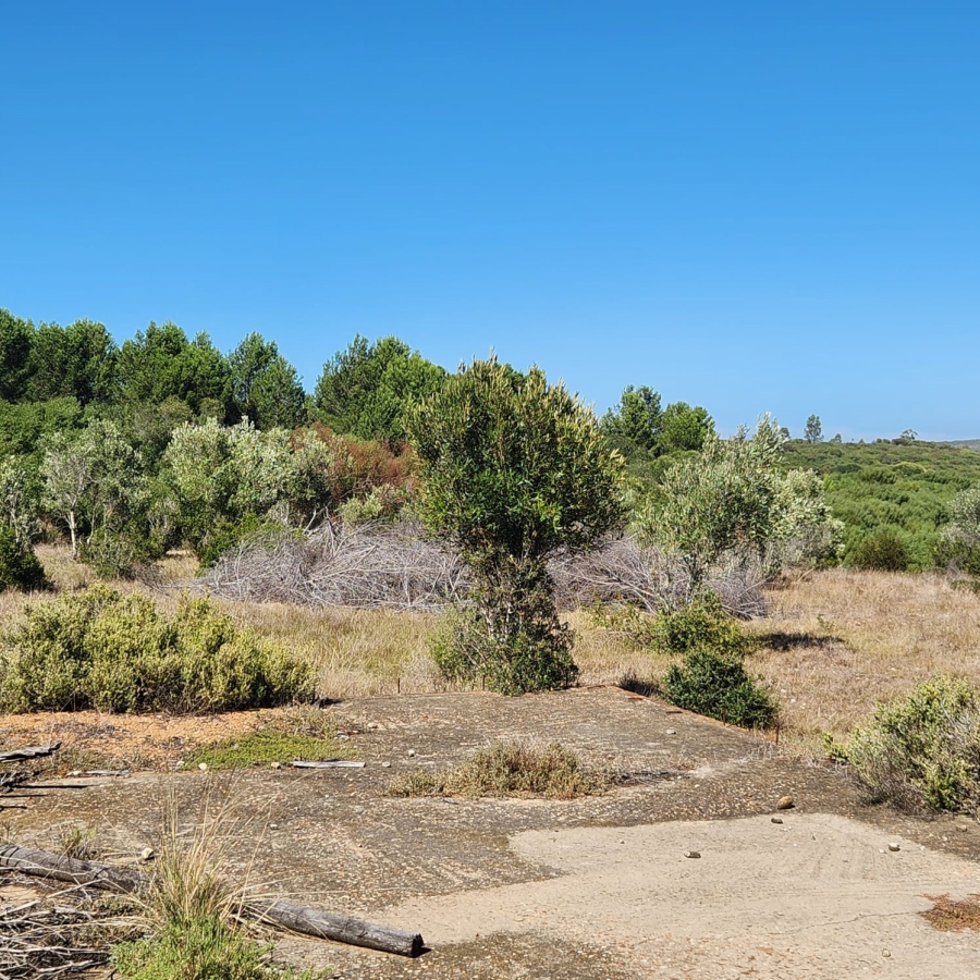 3 Bedroom Property for Sale in Stilbaai Oos Western Cape